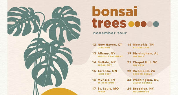 Tour Bonsai Trees